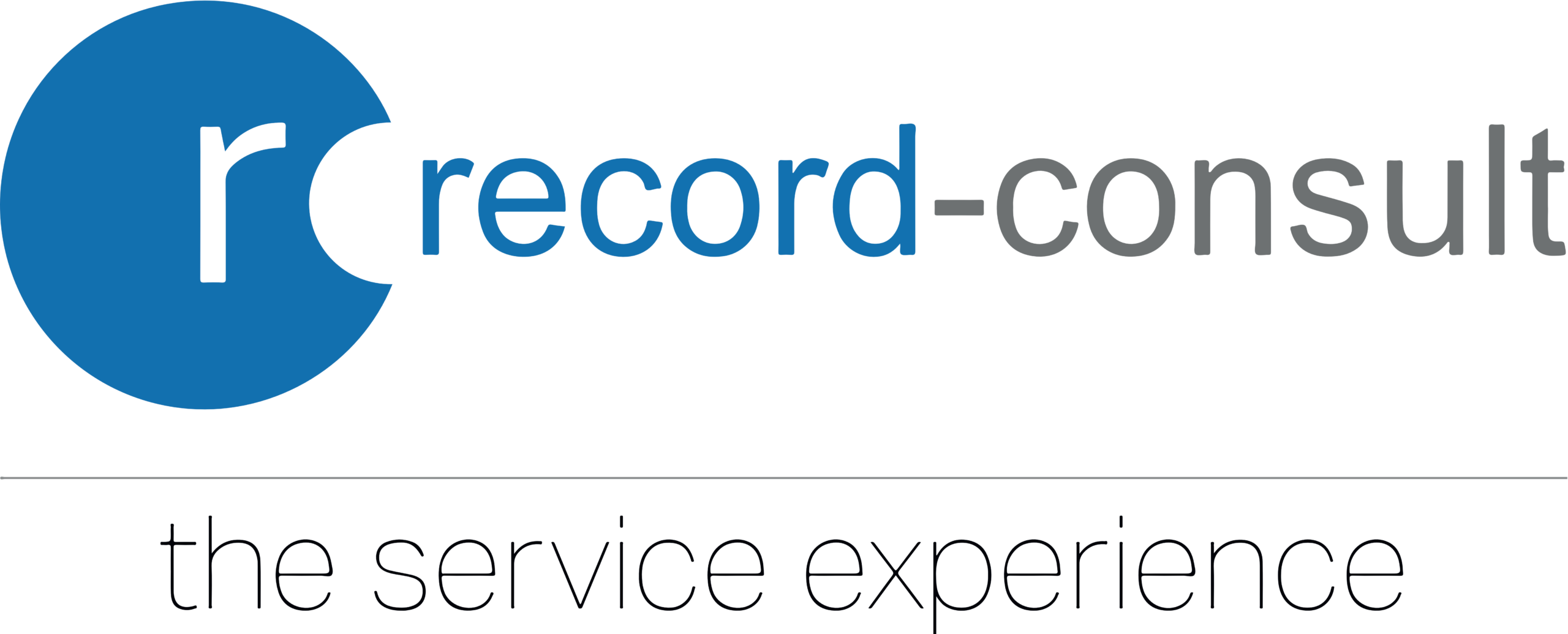 record-consult GmbH